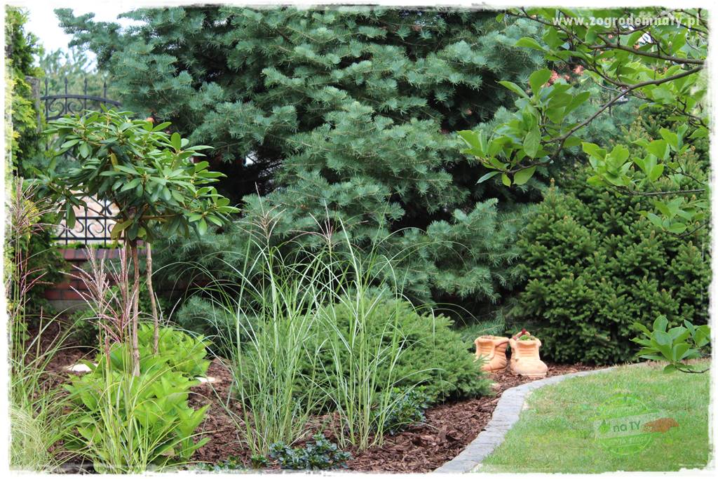 Jak przygotować ogród na zmiany klimatu 16