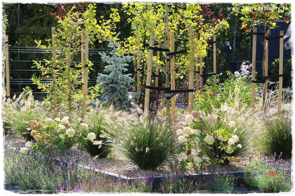 Jak przygotować ogród na zmiany klimatu 17