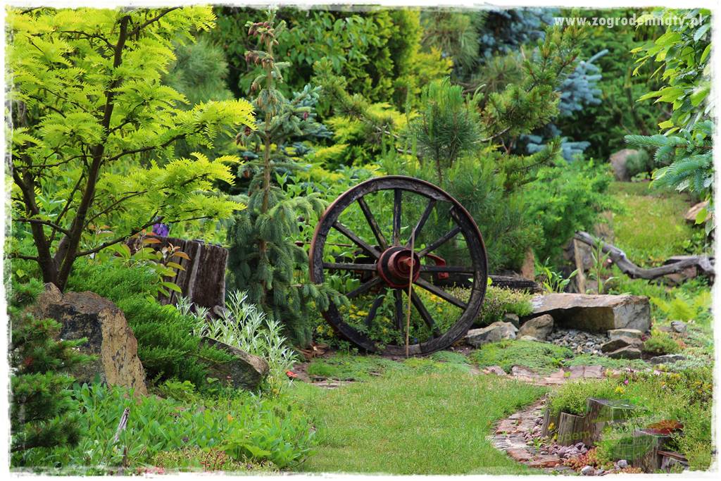 Jak przygotować ogród na zmiany klimatu 18