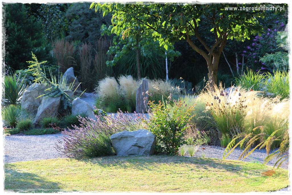 Jak przygotować ogród na zmiany klimatu 2