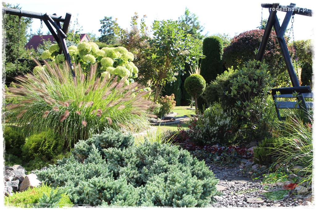 Jak przygotować ogród na zmiany klimatu 24