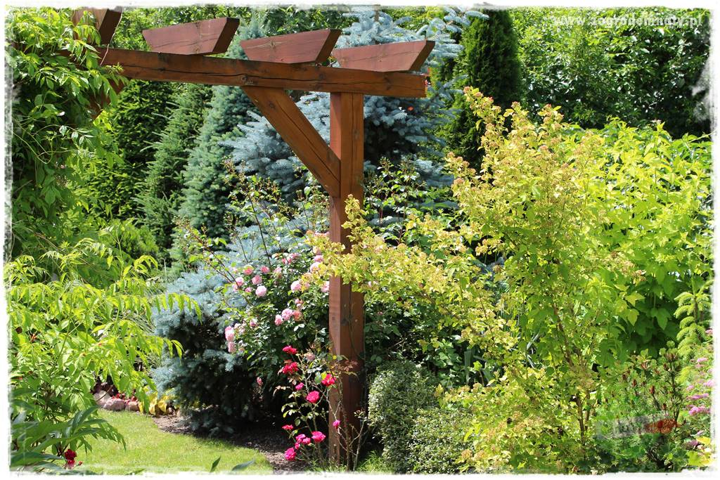 Jak przygotować ogród na zmiany klimatu 25