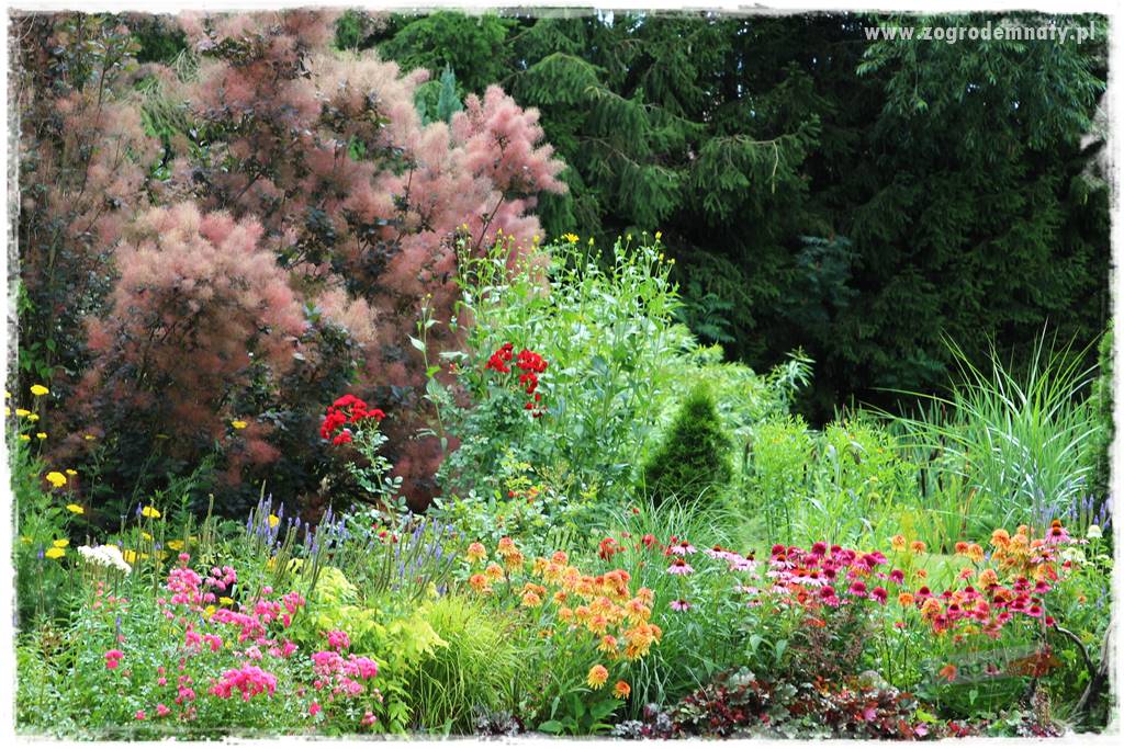 Jak przygotować ogród na zmiany klimatu 26