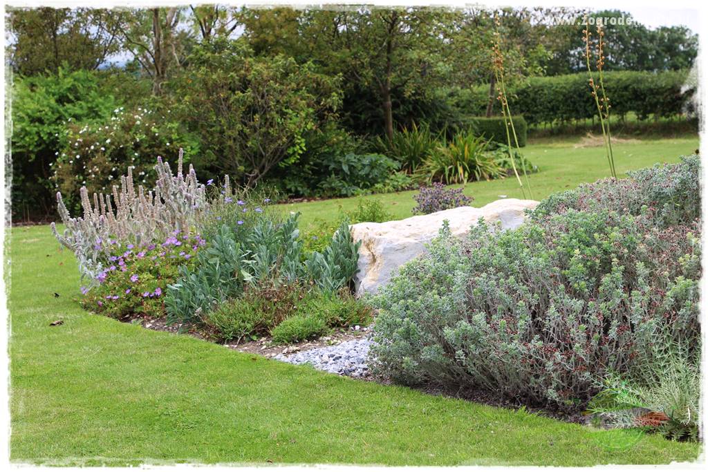 Jak przygotować ogród na zmiany klimatu 38