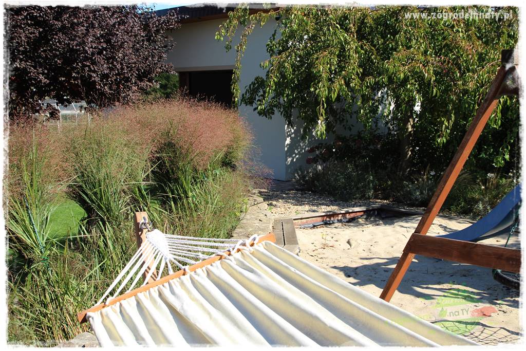 Jak przygotować ogród na zmiany klimatu 45