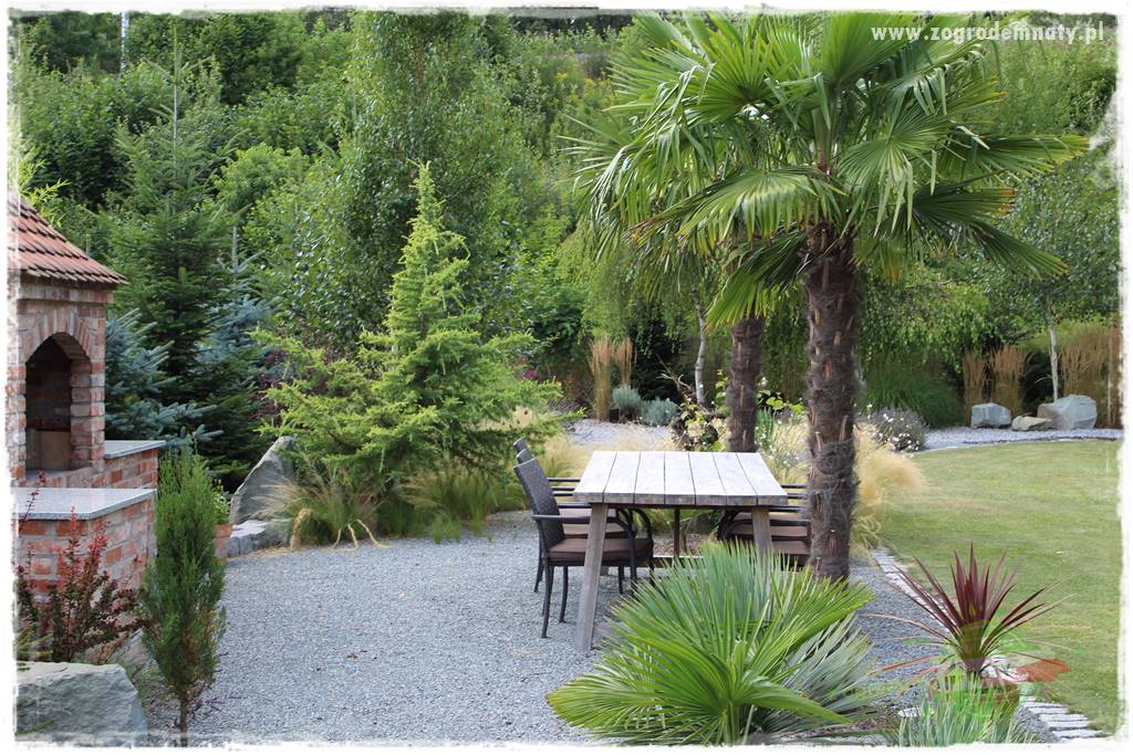 Jak przygotować ogród na zmiany klimatu 49 Jak przygotować ogród na zmiany klimatu 49