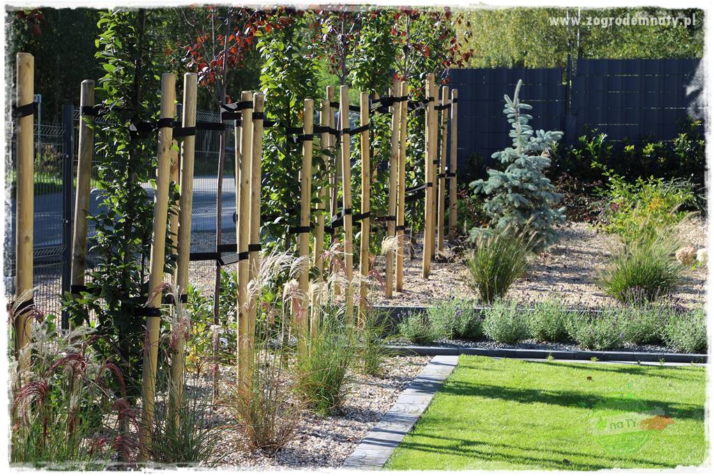 Jak przygotować ogród na zmiany klimatu 54