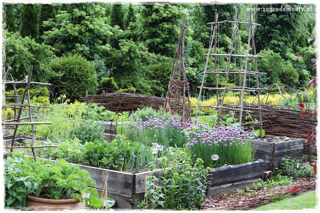 Jak przygotować ogród na zmiany klimatu 57