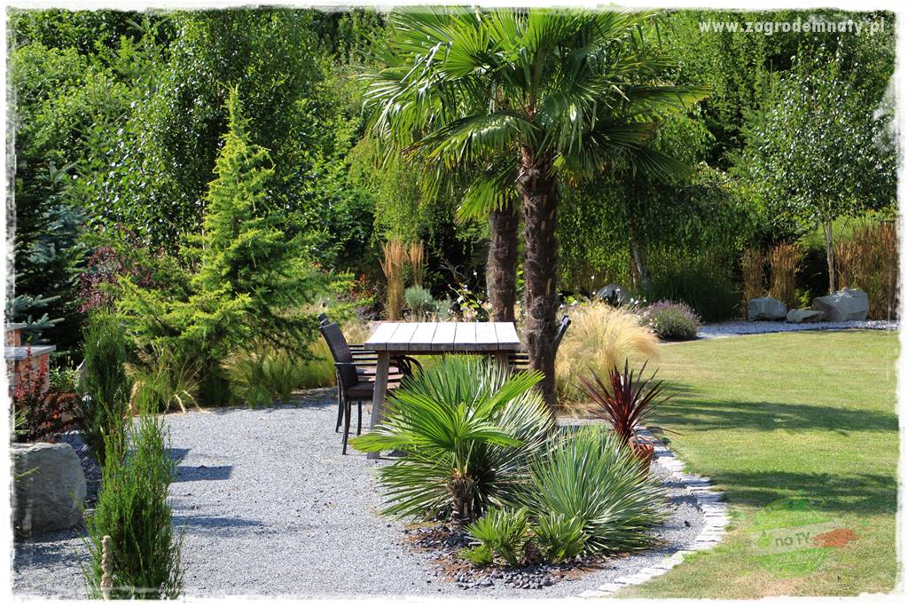 Jak przygotować ogród na zmiany klimatu 59