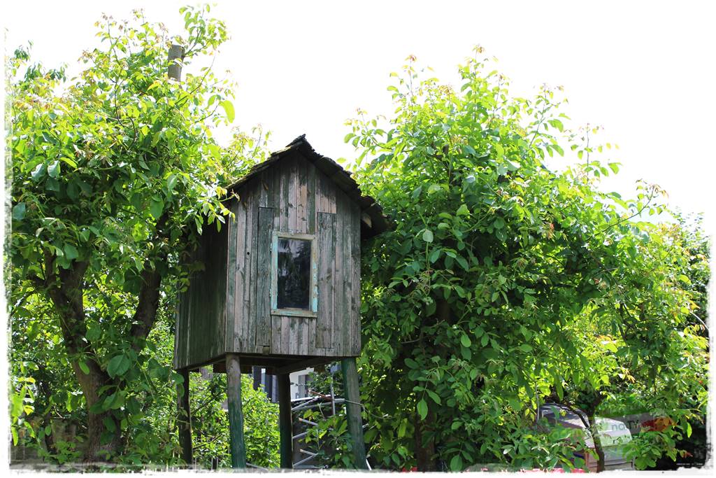 Jak urządzić ogród dla dzieci 15 Jak urządzić ogród dla dzieci 15