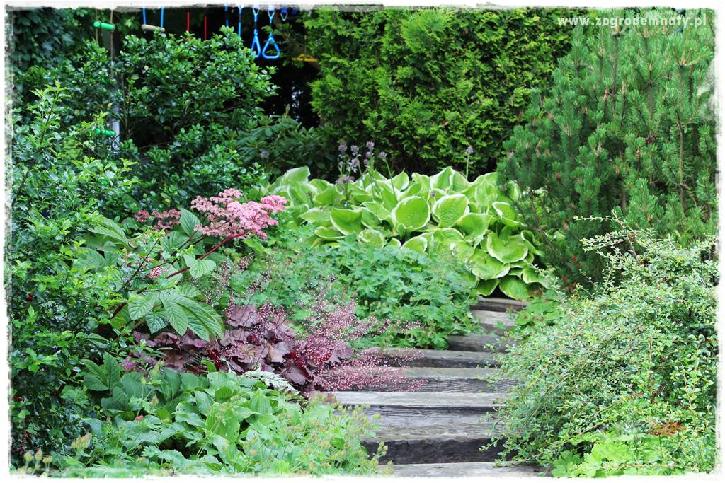 Jak urządzić ogród dla dzieci 19 Jak urządzić ogród dla dzieci 19