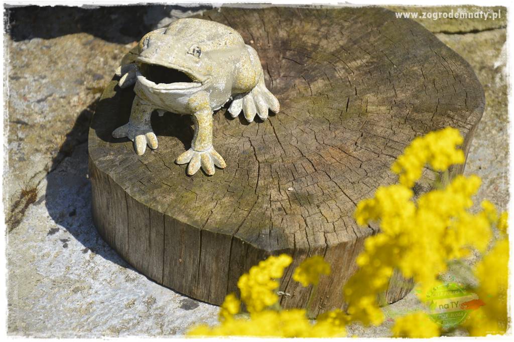 Jak urządzić ogród dla dzieci 23 Jak urządzić ogród dla dzieci 23