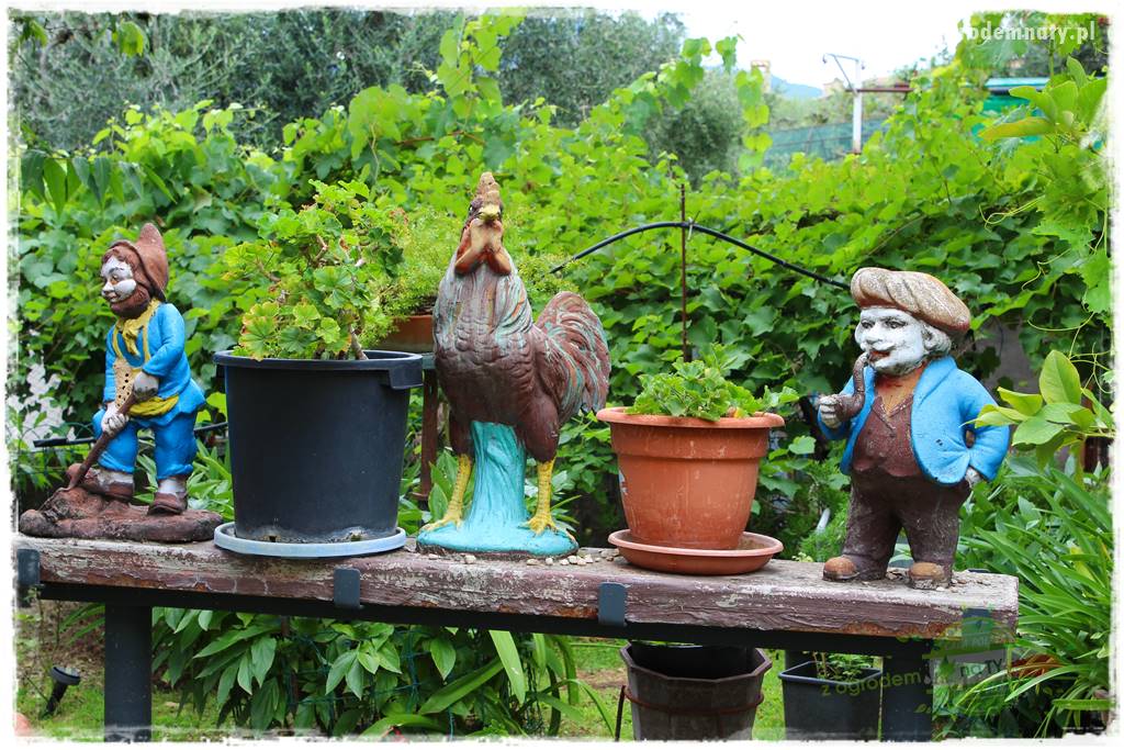 Jak urządzić ogród dla dzieci 24 Jak urządzić ogród dla dzieci 24