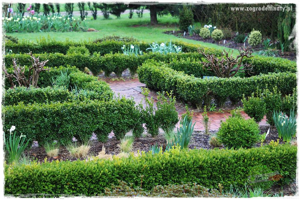 Jak urządzić ogród dla dzieci 30 Jak urządzić ogród dla dzieci 30