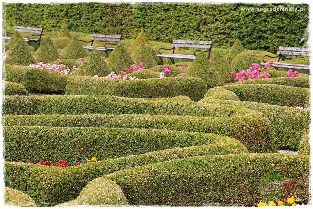 Jak urządzić ogród dla dzieci 31 Jak urządzić ogród dla dzieci 31