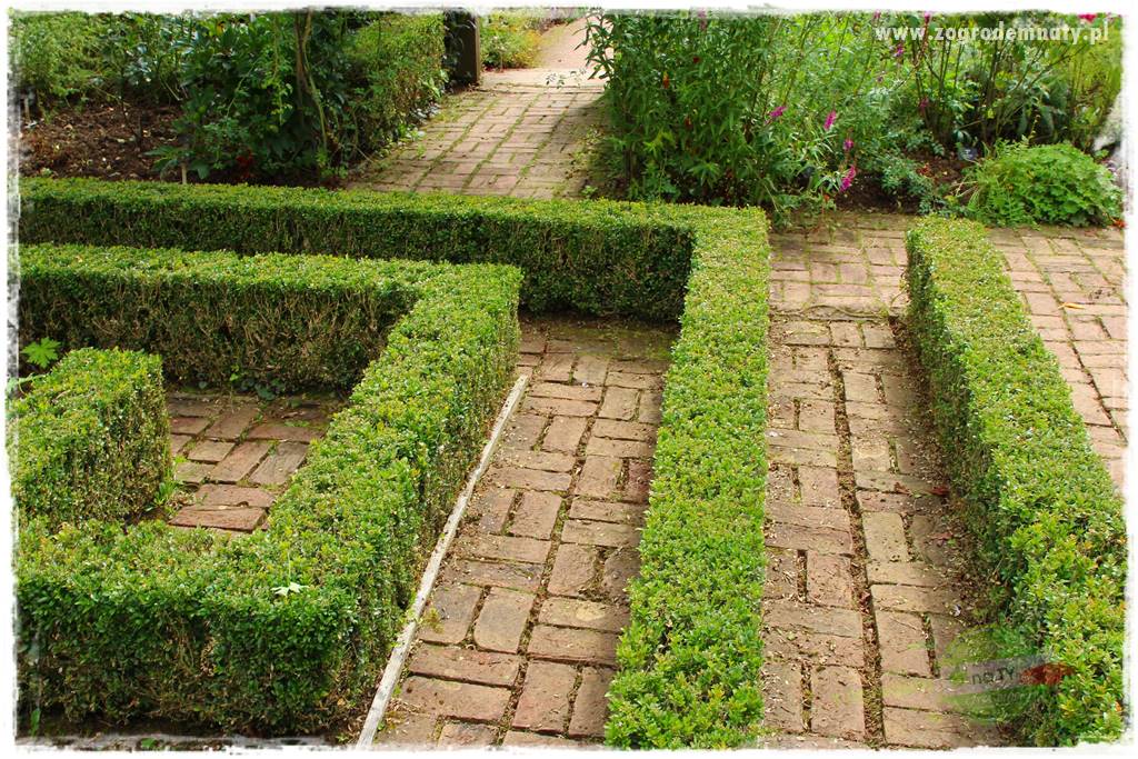 Jak urządzić ogród dla dzieci 32 Jak urządzić ogród dla dzieci 32