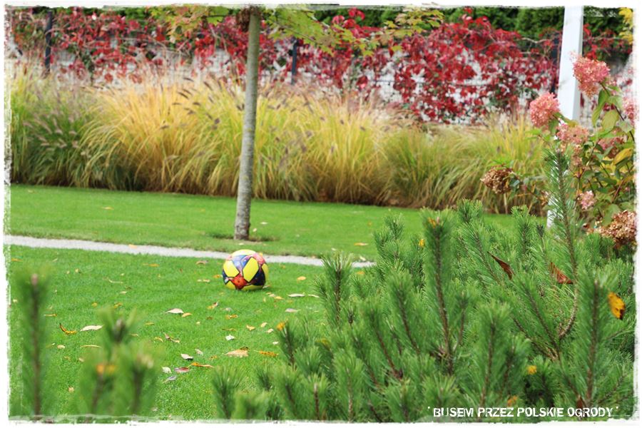 Jak urządzić ogród dla dzieci 34 Jak urządzić ogród dla dzieci 34