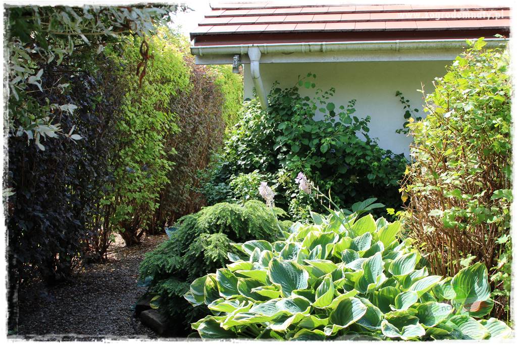 Jak urządzić ogród dla dzieci 36 Jak urządzić ogród dla dzieci 36