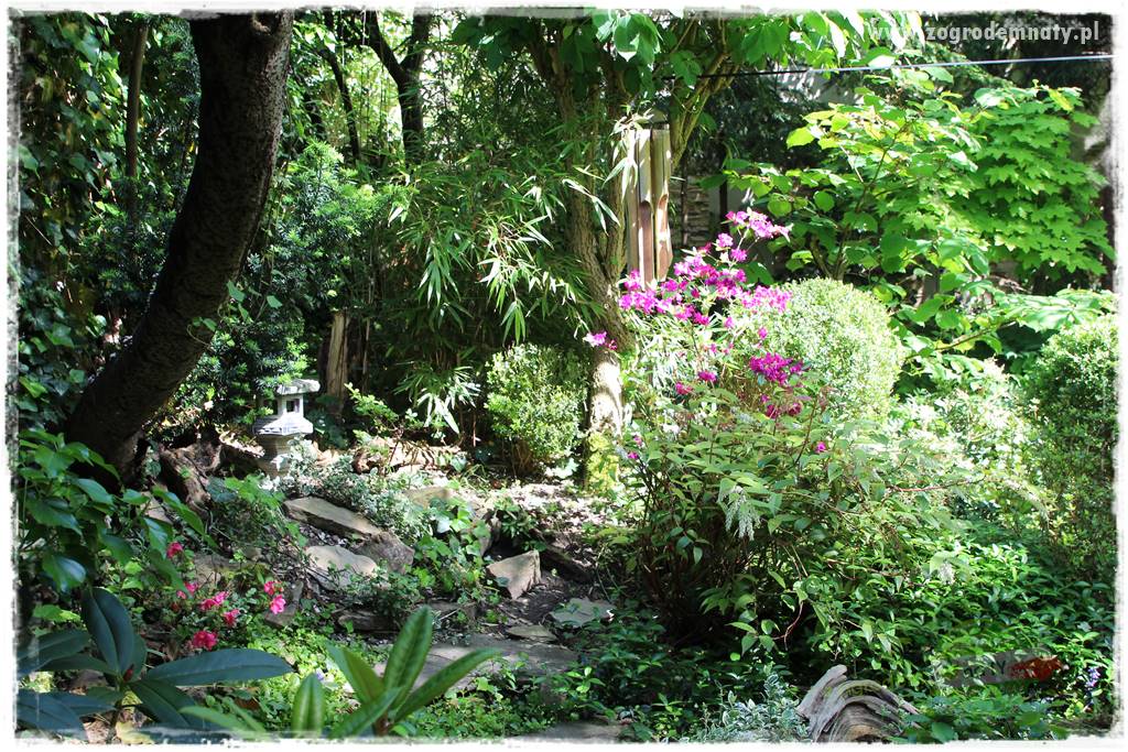 Jak urządzić ogród dla dzieci 37 Jak urządzić ogród dla dzieci 37