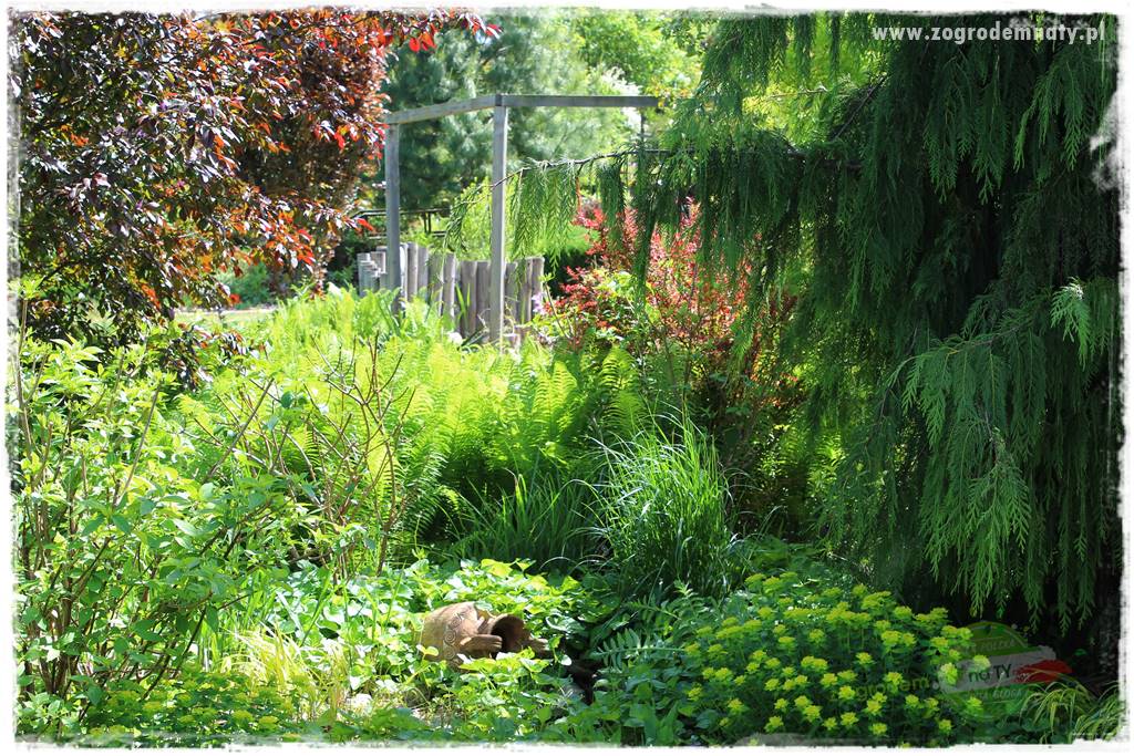 Jak urządzić ogród dla dzieci 39 Jak urządzić ogród dla dzieci 39