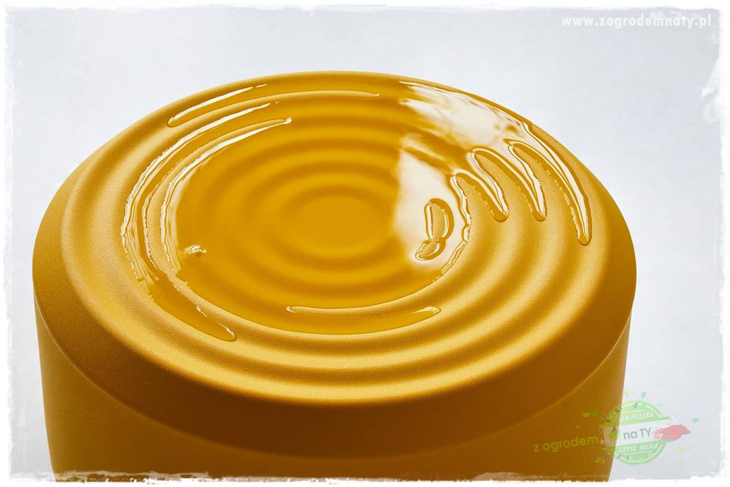 Jak urządzić ogród dla dzieci 53 Jak urządzić ogród dla dzieci 53