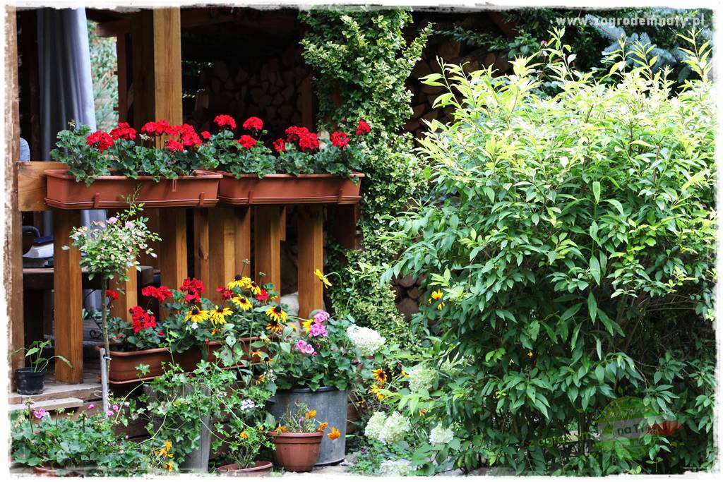 Kolorowe skrzynki balkonowe 1