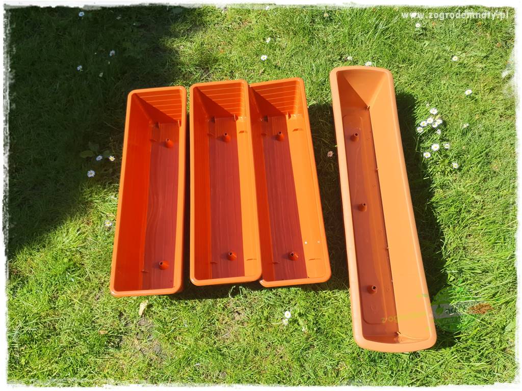 Kolorowe skrzynki balkonowe 11 Kolorowe skrzynki balkonowe 11