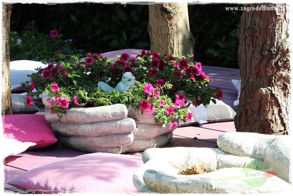 Kolorowe skrzynki balkonowe 16 Kolorowe skrzynki balkonowe 16