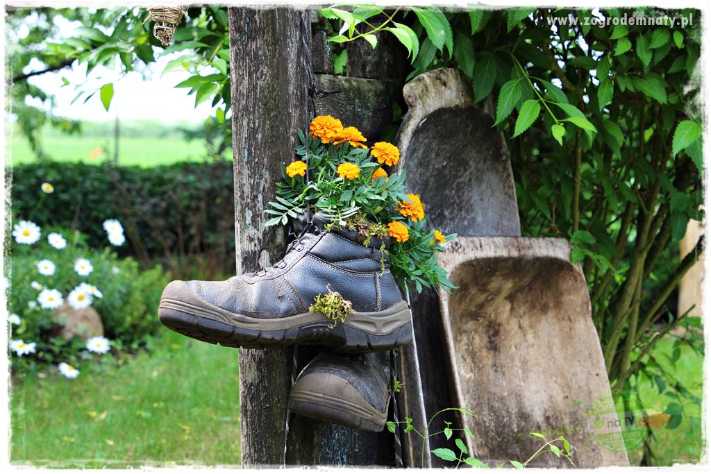 Kolorowe skrzynki balkonowe 20 Kolorowe skrzynki balkonowe 20