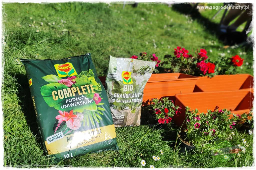 Kolorowe skrzynki balkonowe 26