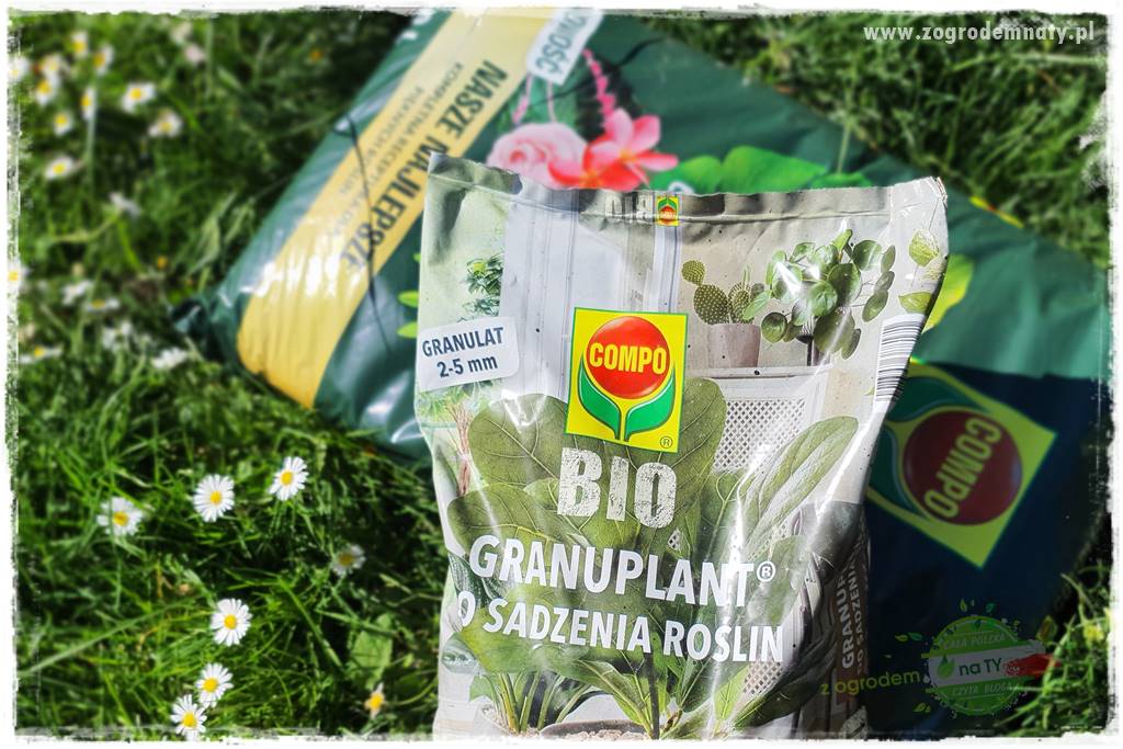 Kolorowe skrzynki balkonowe 28