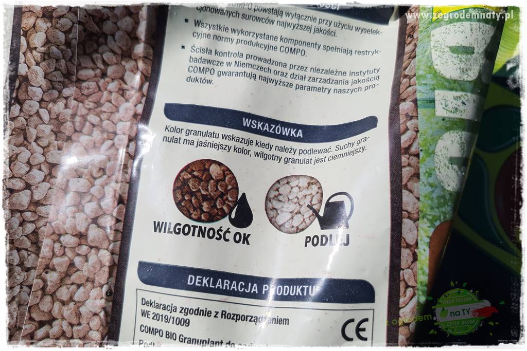 Kolorowe skrzynki balkonowe 31 Kolorowe skrzynki balkonowe 31