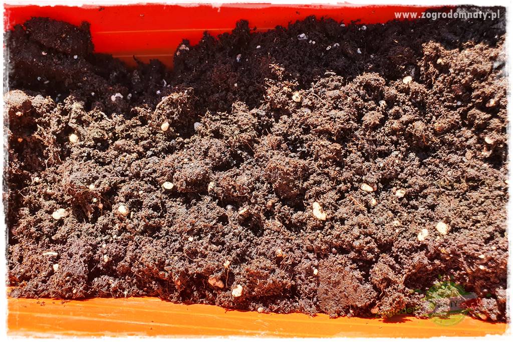 Kolorowe skrzynki balkonowe 32