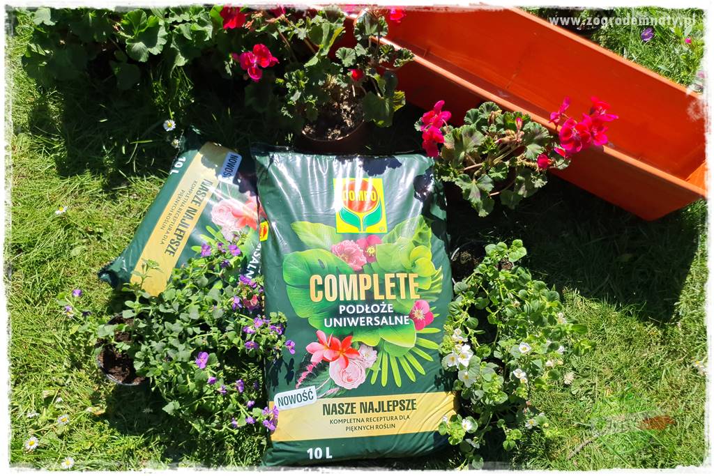 Kolorowe skrzynki balkonowe 33