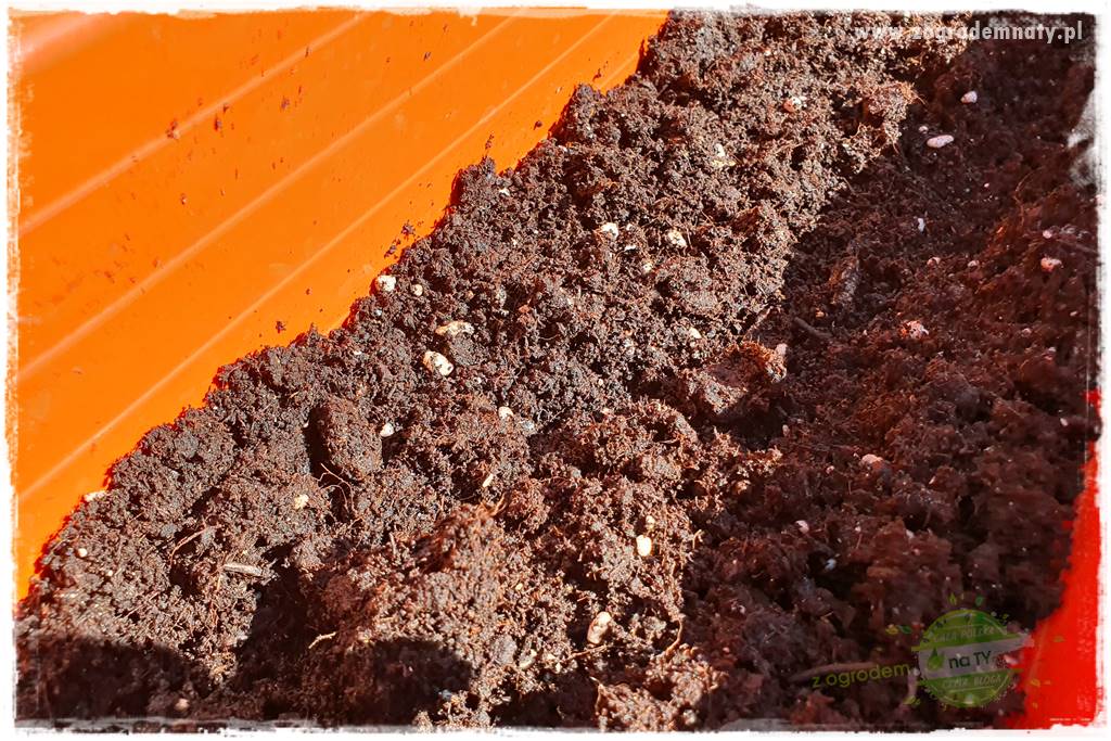 Kolorowe skrzynki balkonowe 34