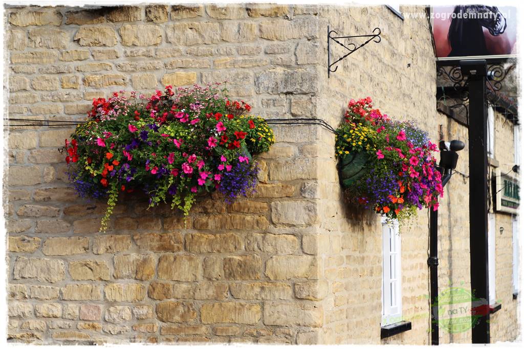 Kolorowe skrzynki balkonowe 4 Kolorowe skrzynki balkonowe 4