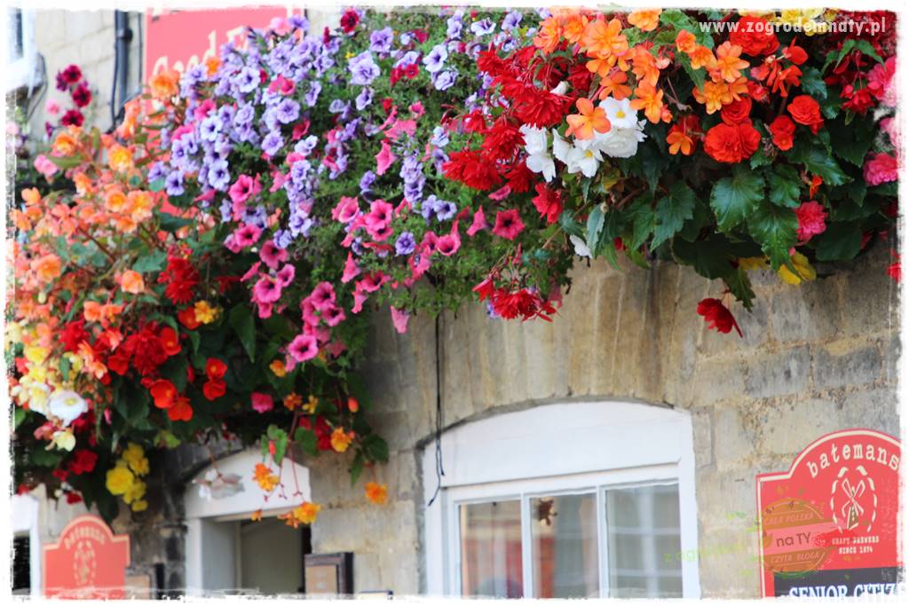 Kolorowe skrzynki balkonowe 5 Kolorowe skrzynki balkonowe 5