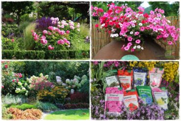 Nawożenie na kwitnienie 0