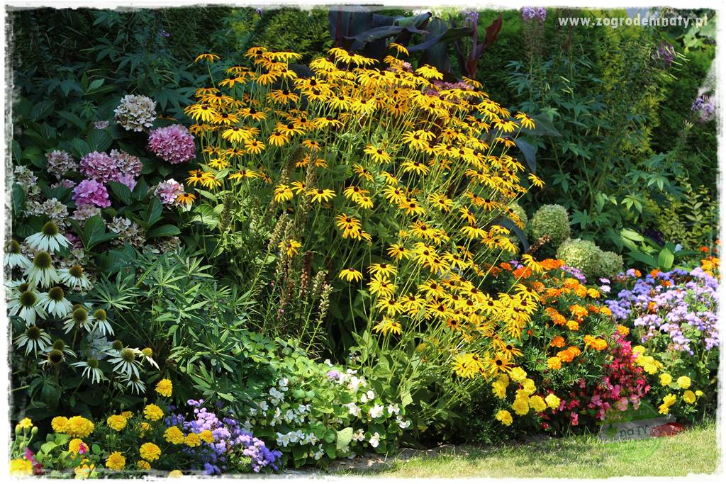 Nawożenie na kwitnienie 2