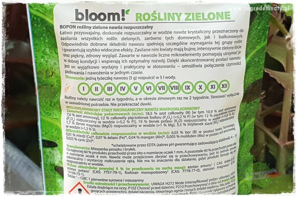 Nawożenie na kwitnienie 21