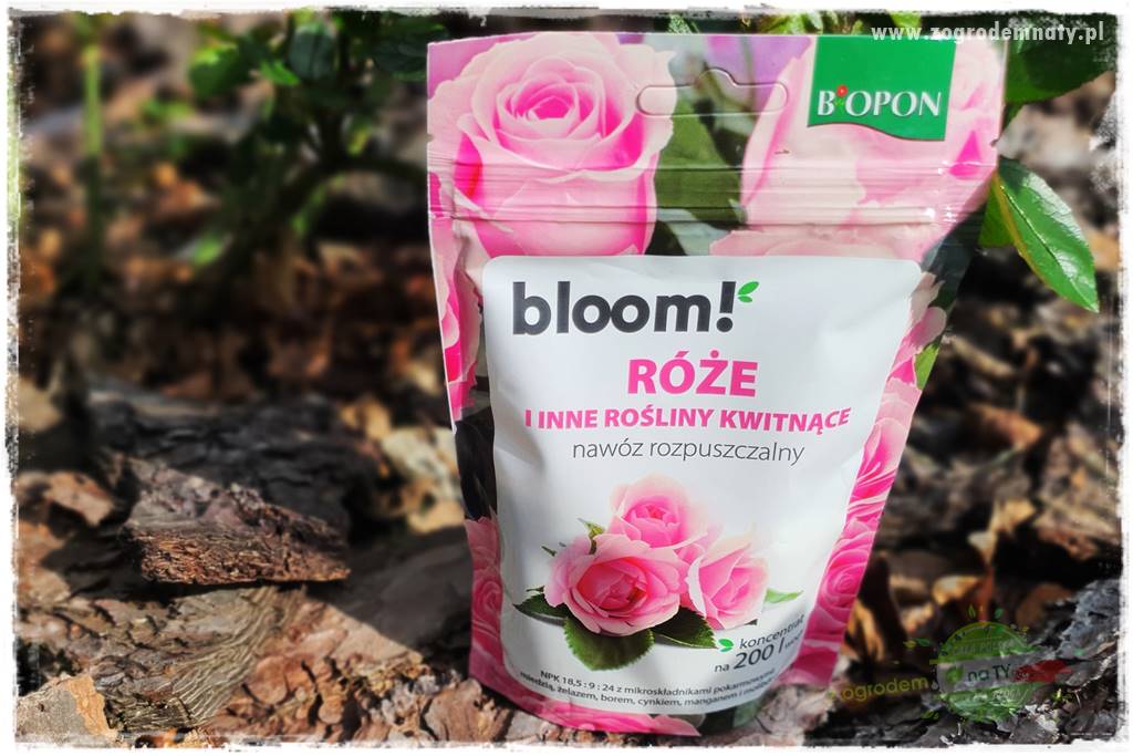 Nawożenie na kwitnienie 22