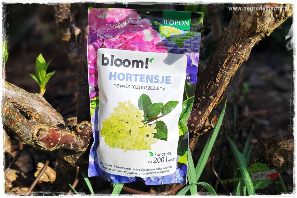 Nawożenie na kwitnienie 24