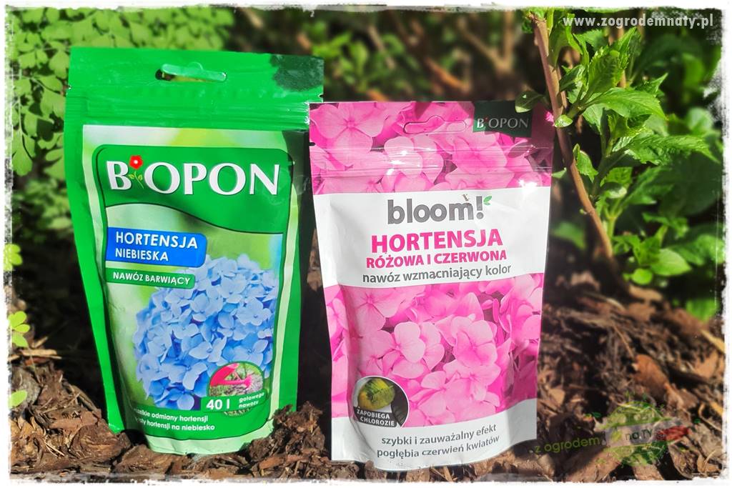 Nawożenie na kwitnienie 26