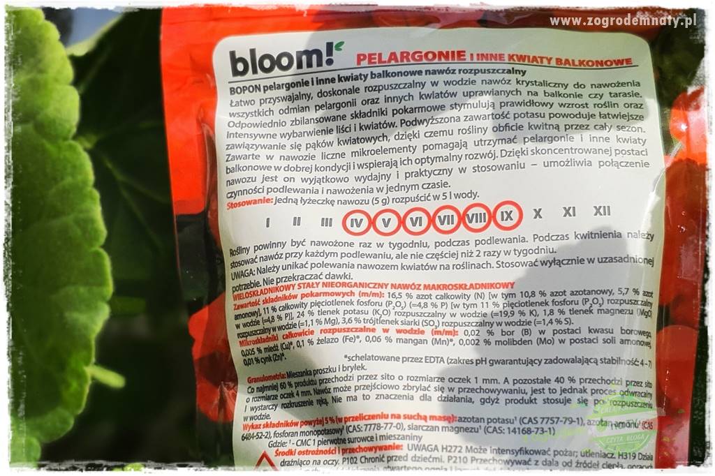 Nawożenie na kwitnienie 29