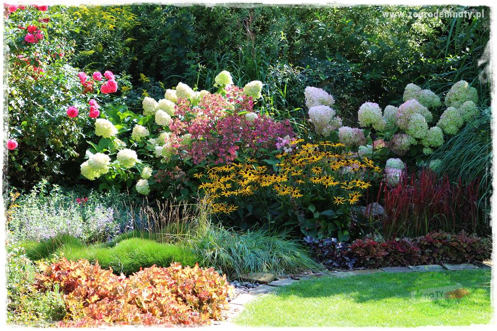 Nawożenie na kwitnienie 3