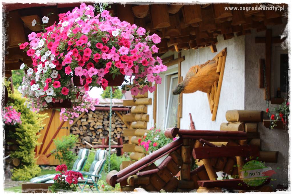 Nawożenie na kwitnienie 31