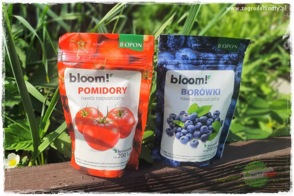 Nawożenie na kwitnienie 33