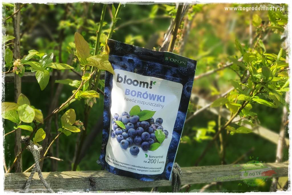 Nawożenie na kwitnienie 34