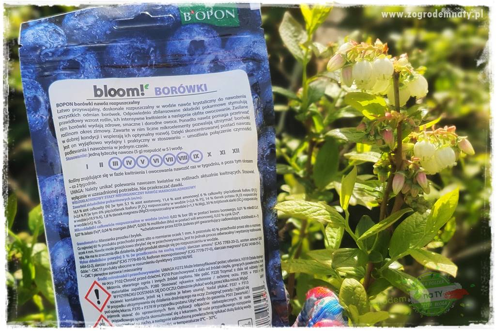 Nawożenie na kwitnienie 36