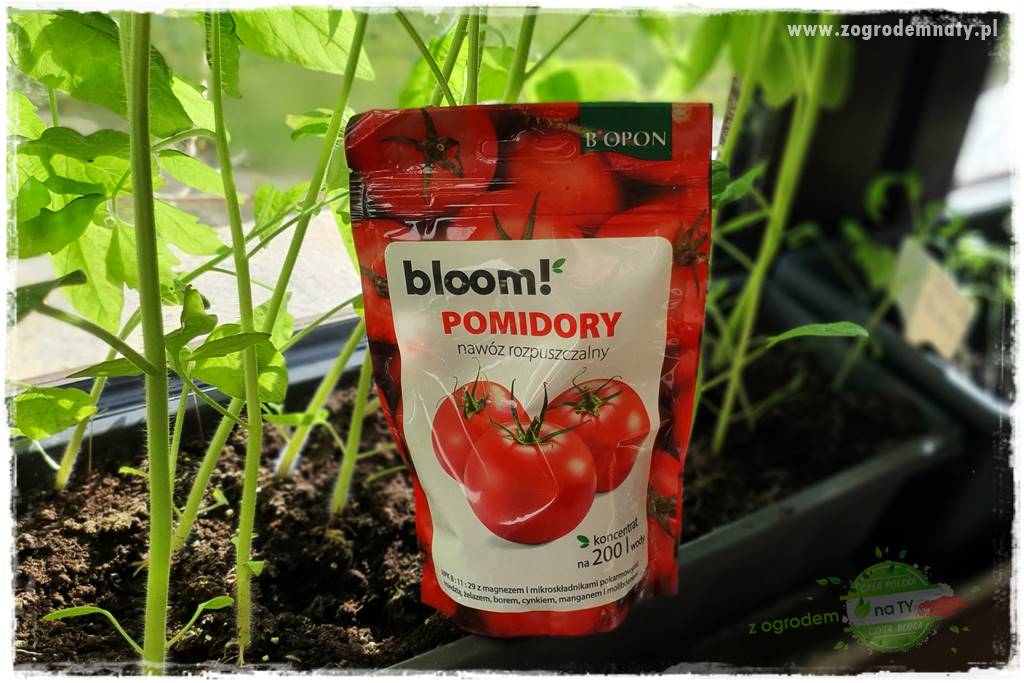 Nawożenie na kwitnienie 37